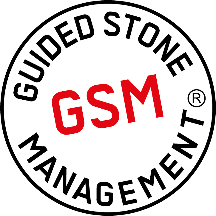 GSM Button